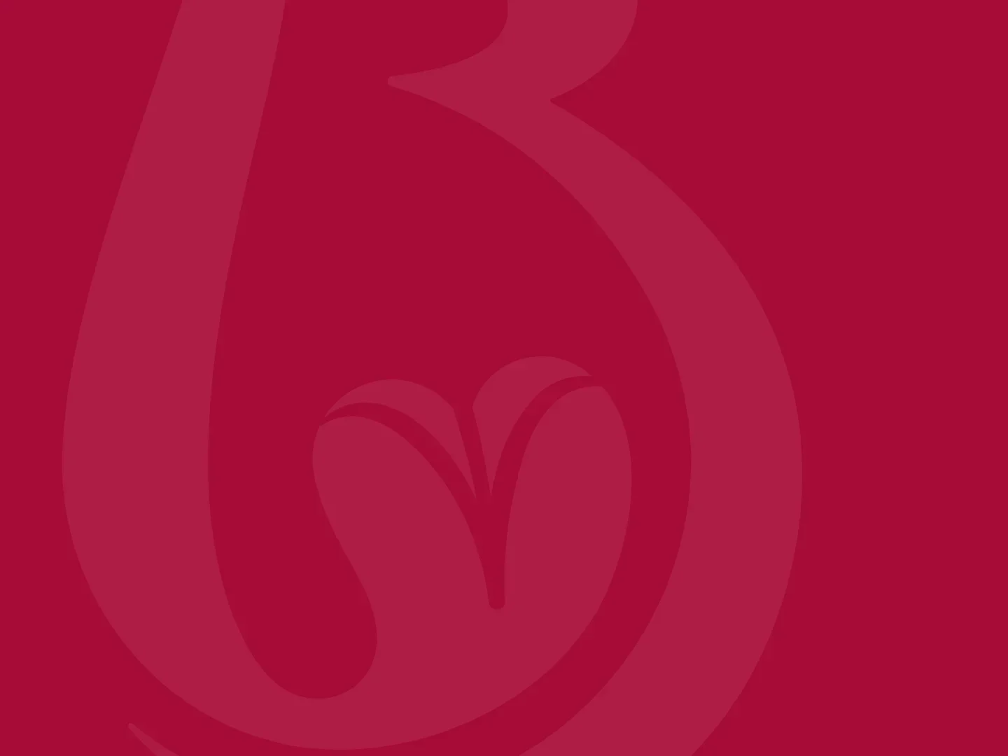 fundo-dra-lorena-baldotto-vermelho-logo